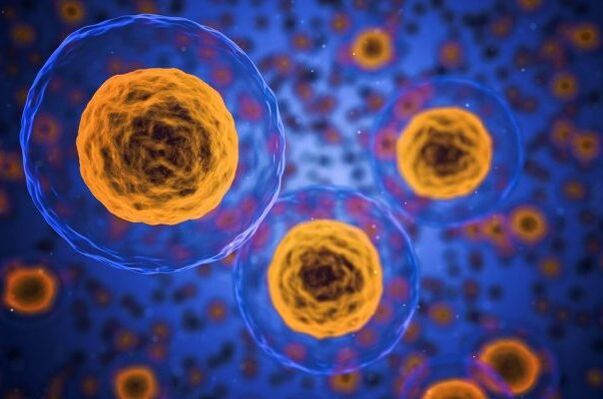 Kako se odvija proces mršavljenja